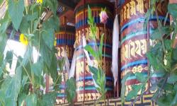 Gallery 2